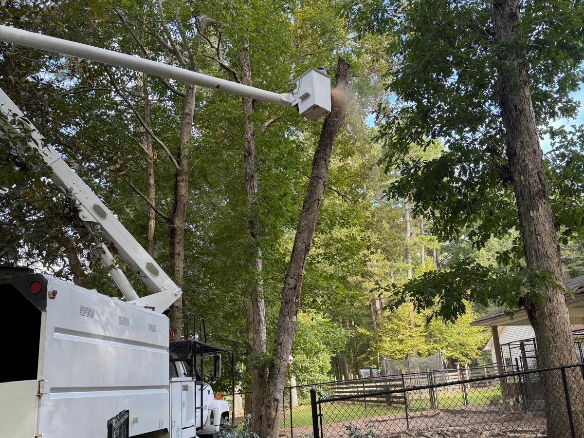 El Costeño Tree Service LLC